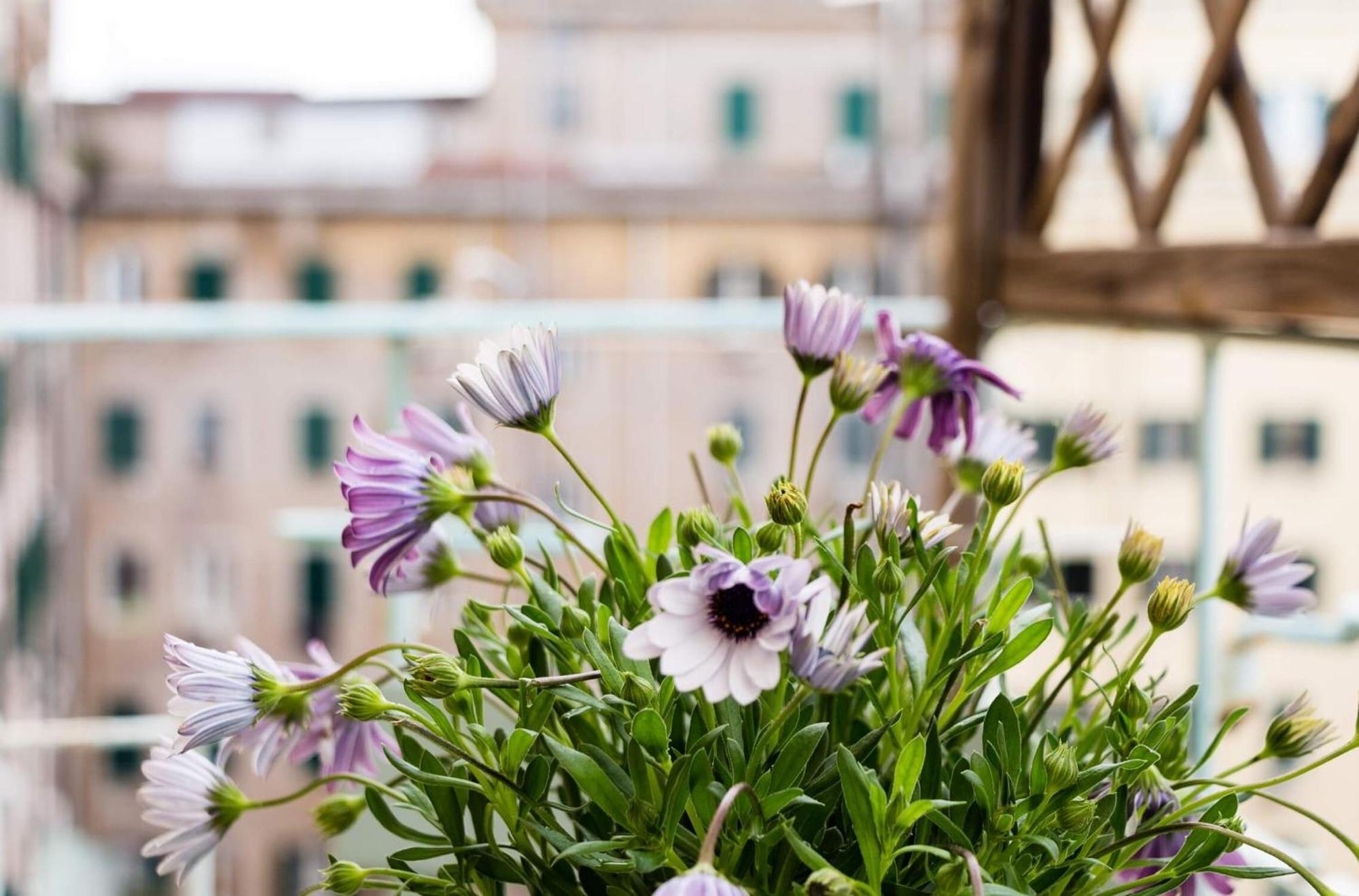 Torripa Group - Prati Hotel Rome Bilik gambar